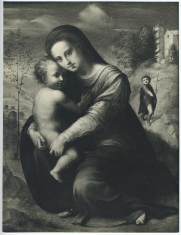 Anonimo — Ubaldini Domenico di Bartolomeo - sec. XVI - Madonna con Bambino e san Giovannino — insieme